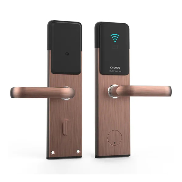 Home Electronic Electric Tuya App Wifi Smart Lock